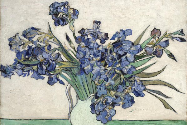 Irises from Van Gogh